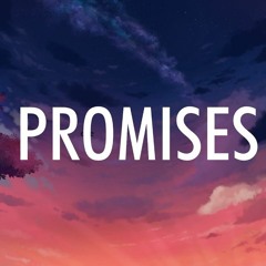 Cheat Codes - No Promises ft. Demi Lovato [2BASS Remix]