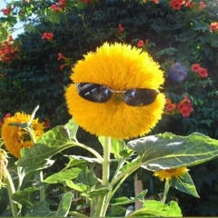 لا: عن لانهائية الرفض