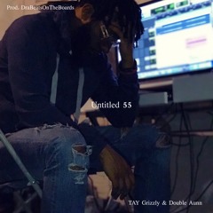 Untitled 55 - TAY Grizzly & Double Aunn