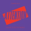 Download Lagu Attention (David Guetta Remix) - Charlie Puth