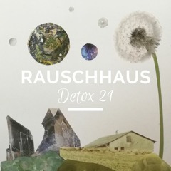 Rauschhaus | Detox 21 | Oct 2017
