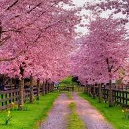 Indian Spring