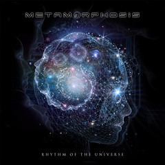 Rhythm Of The Universe (Album Mix) -Altar Records-