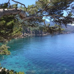 Lazy Sunday maxx-Tape