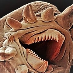 White Worm (generic djent)