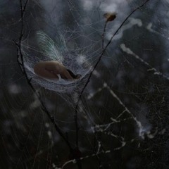 ℭȮƝVἈLΈSCEƝCẸ