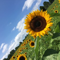 South Side of the Sky (Yes cover)