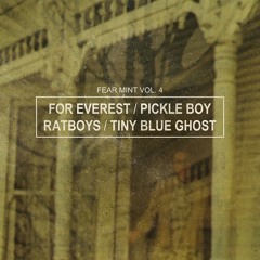 Tiny Blue Ghost - High Expectations