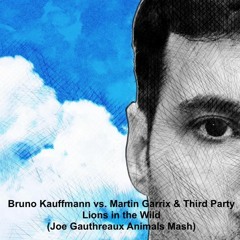 Bruno Kauffmann vs. Martin Garrix & Third Party - Lions in the Wild (Joe Gauthreaux Animals Mash)