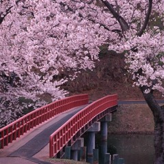 Sakura 04 [Snippet] ( Prod By SoNeazy )