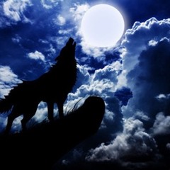 Lil Mezy- In the night Ft. Young Kennedy, Clout God Cam & Coldsteeze