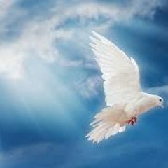 Message To My Angels (cover/remix)