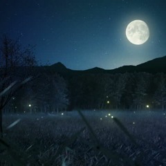 LTS Taz x Daffy Night After Night(Remix)