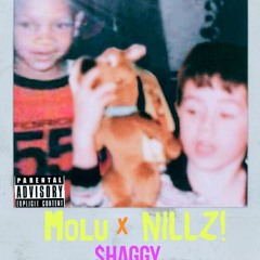 $HAGGY - MOLU X NILLZ!