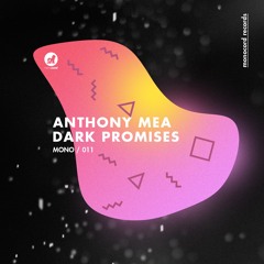 Anthony Mea - Parallel Preview