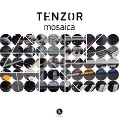 Tenzor - Mosaica (TEASER)