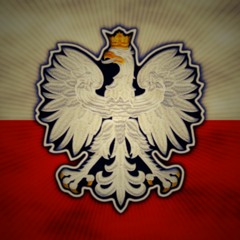 The Best Of Polish Dnb : Najlepszy w Polsce Dnb Mix