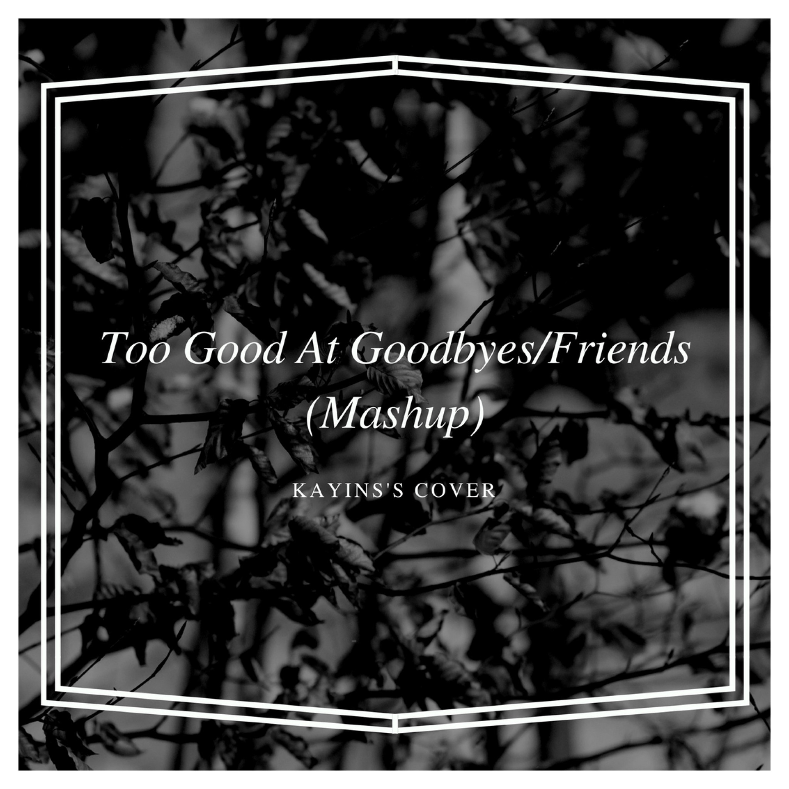 Sam Smith/Justin Bieber - Too Good At Goodbyes/Friends (mashup/cover) episode artwork