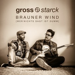 BRAUNER WIND [WER NICHTS SAGT IST DUMM]