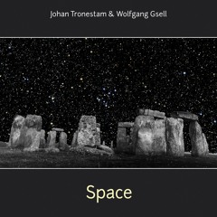 Johan Tronestam & Wolfgang Gsell - Back To Earth