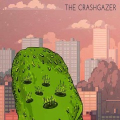 The crashgazer