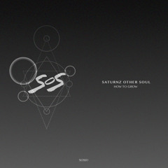 Saturnz Other Soul - Roots (Original Mix)