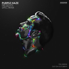 Purple Haze - Kill Kitten [Teaser]