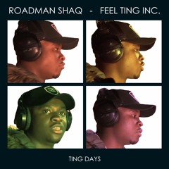 Roadman Shaq - Feel Ting Inc.