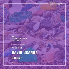 PREMIERE: David Granha - Chrome (Original Mix) [Sincopat]