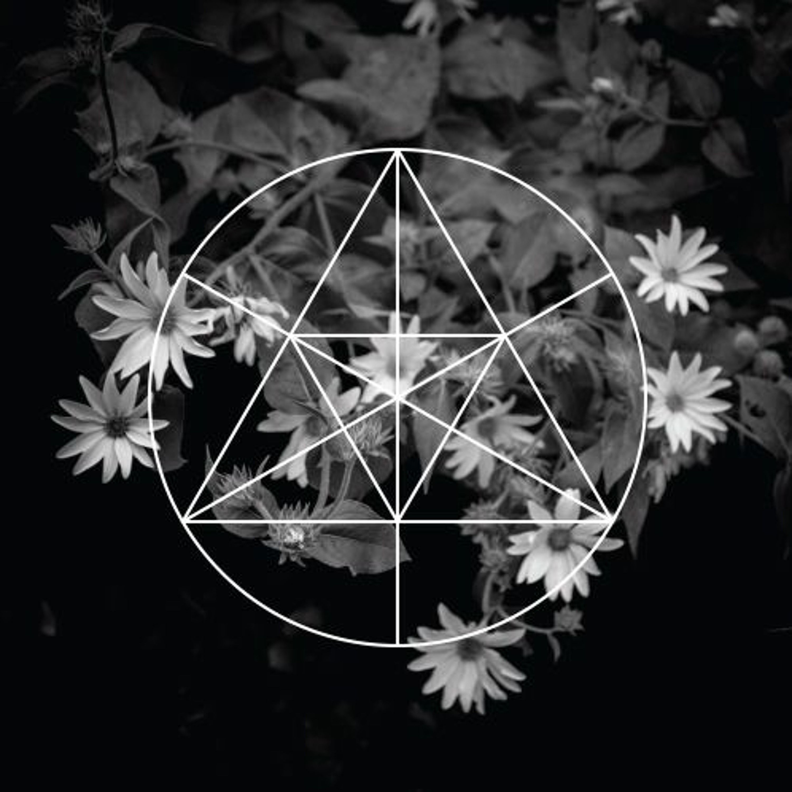 Mysteries of the Deep