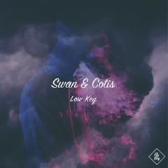 Swan & Cotis - Low Key (Fly Boy Records)