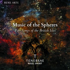 Bingham - The Drowned Lovers - Tenebrae