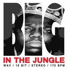 🔥 Big In The Jungle Sample Pack (Demo) OUT NOW!