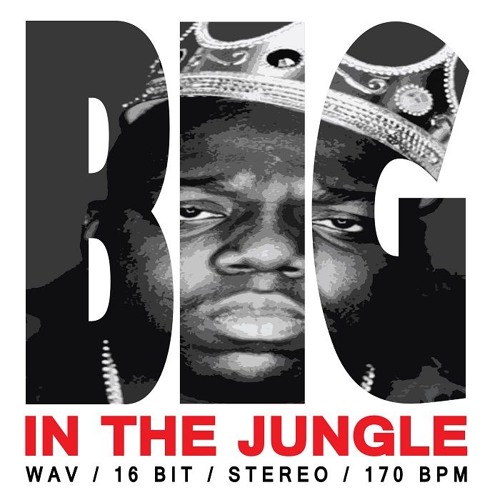 🔥 Big In The Jungle Sample Pack (Demo) OUT NOW!
