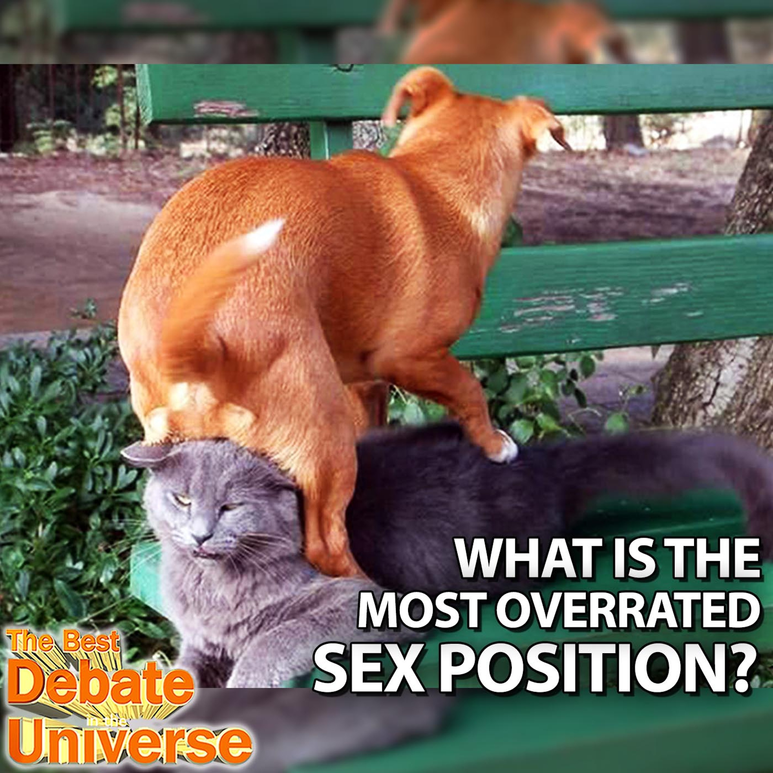 #69 - Overrated Sex Positions, Ela Darling, Dreadmere, Rucka, Mad Pooper, Swinger Foul episode artwork