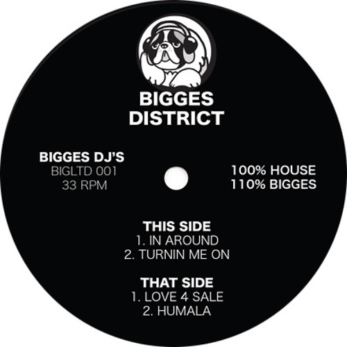 PREMIERE: BIGGES DJ's - In Around [BIGGES DISTRICT]