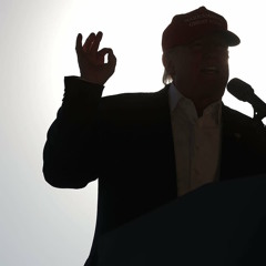Distract, distort, isolate: Trump and the authoritarian style in American politics.