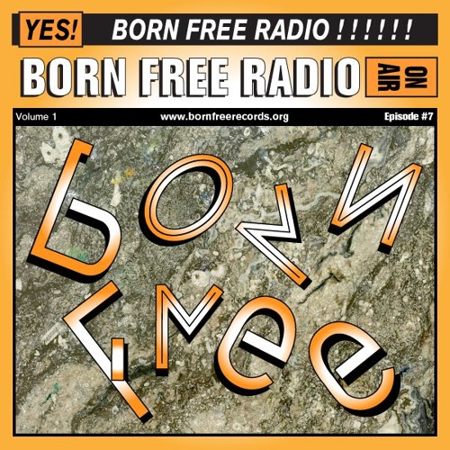 BORN FREE Radio 7 - Your Planet is Next - Live from B.F.C.
