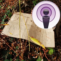 Episode 7: The Victim