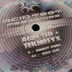 Acid Ted & Teknotyx - Monkey Tennis