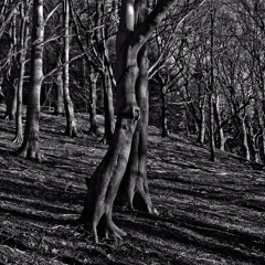 Scary Clown Rap Beat Circus | Halloween | CheechedBeats