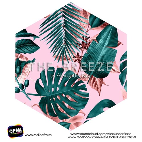 THE BREEZE By AlexUnder Base @ C FM #133 [Soundcloud]