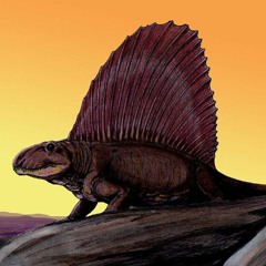 Dimetrodon