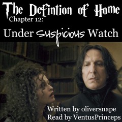 The Definition of Home Chapter 12:  Under Suspicious Watch