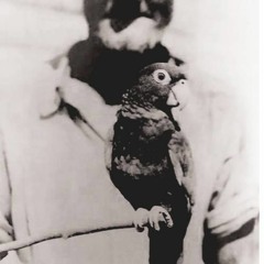 Majo KALX Live!  performance