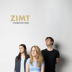 NeuGut Interview mit Janina von ZIMT