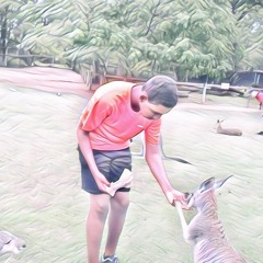 Hollyn- Can't Live Without (MAD remix)