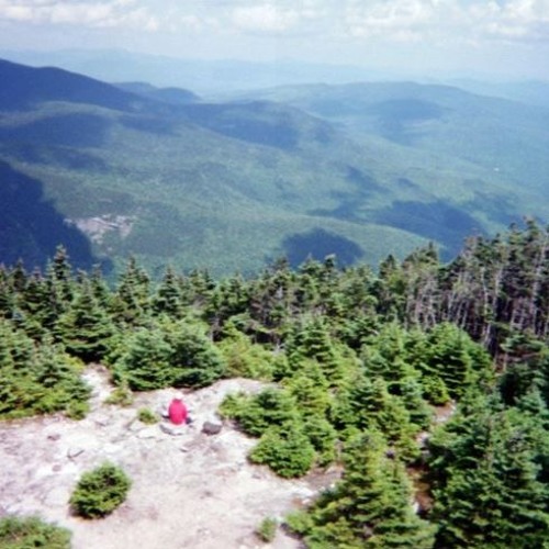 Asher Roth - Terry (Remix) (DigitalDripped.com)