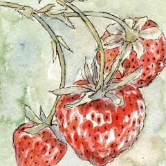 a strawberry bop