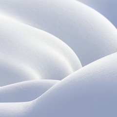 Winter Feeling